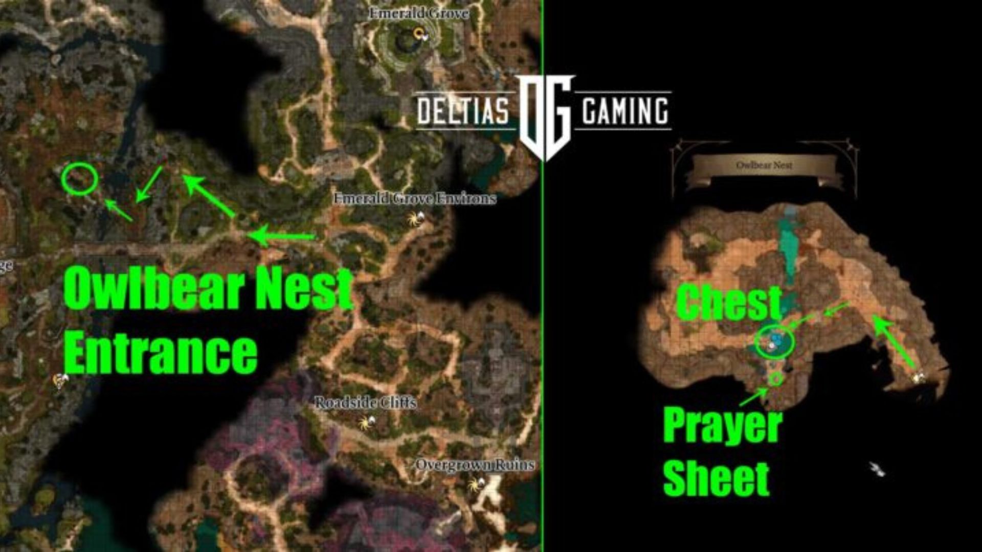 How to Open Selune's Gilded Chest in Baldur's Gate 3 Owlbear Nest ...