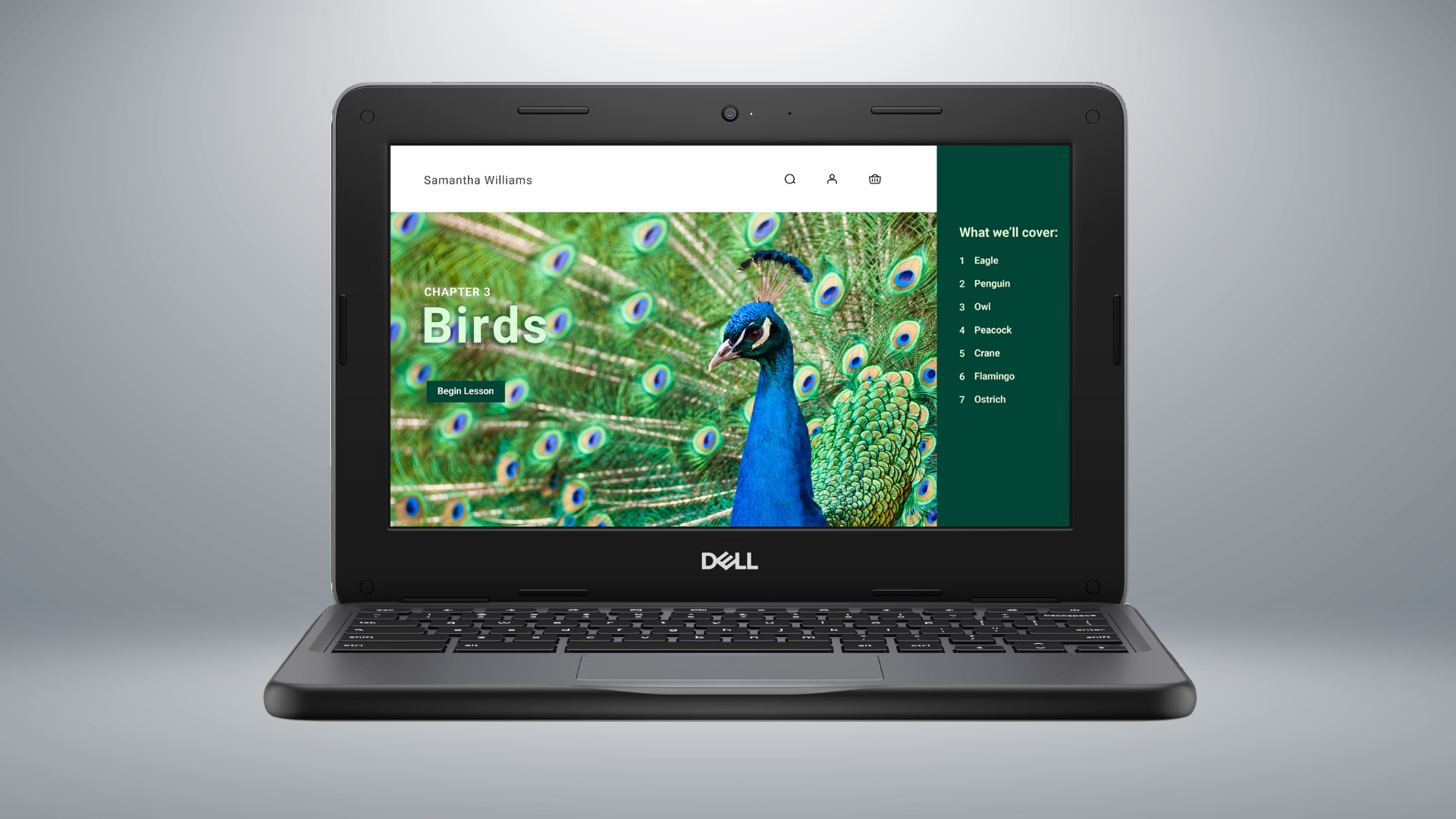7 Best Dell Laptops for Students in 2024 - Deltia's Gaming