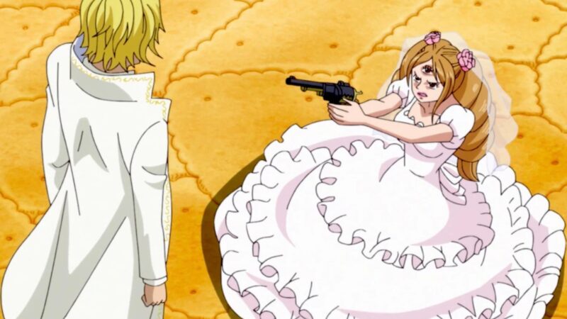 Would Sanji Ever Fight a Woman in One Piece?