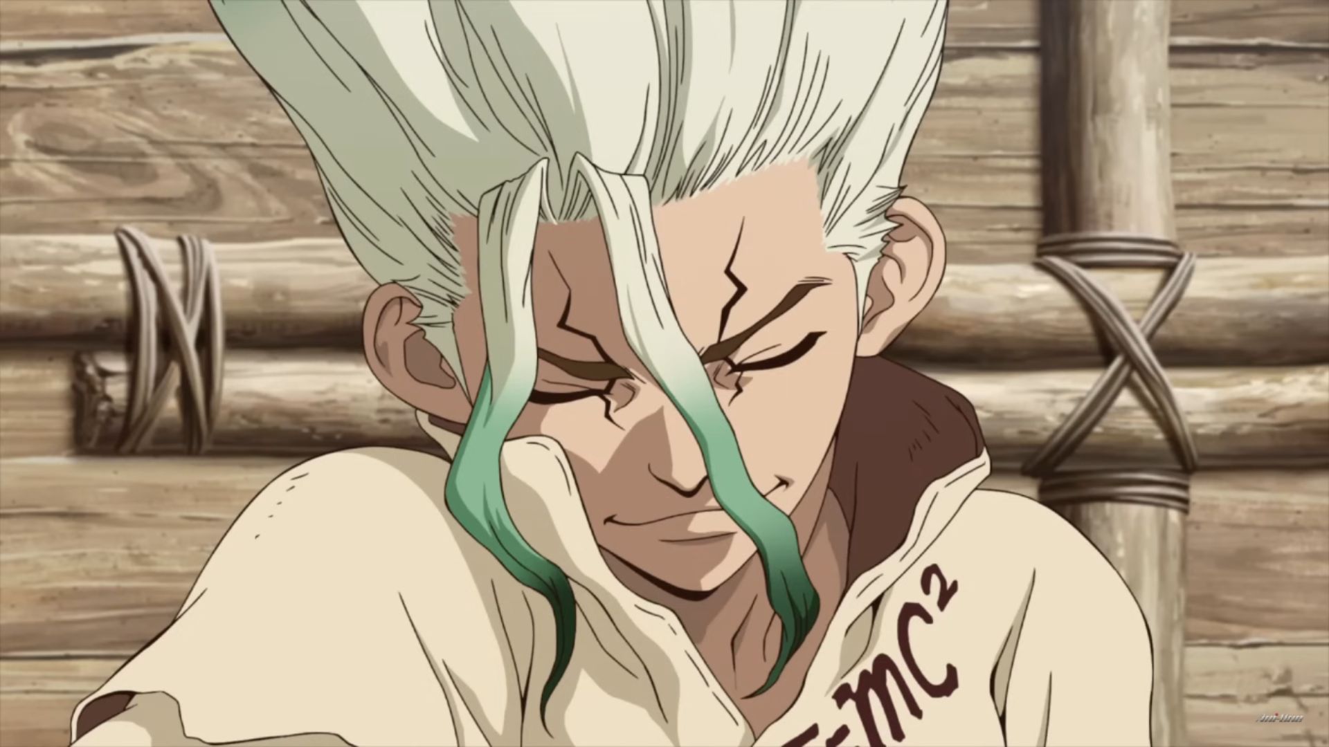 Senku in the anime