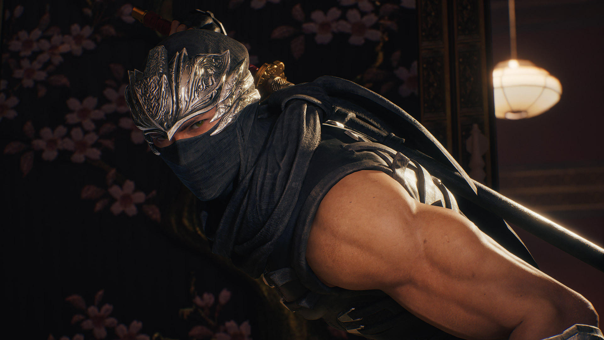 Ninja Gaiden 2 Black (image via Koei Tecmo Games)