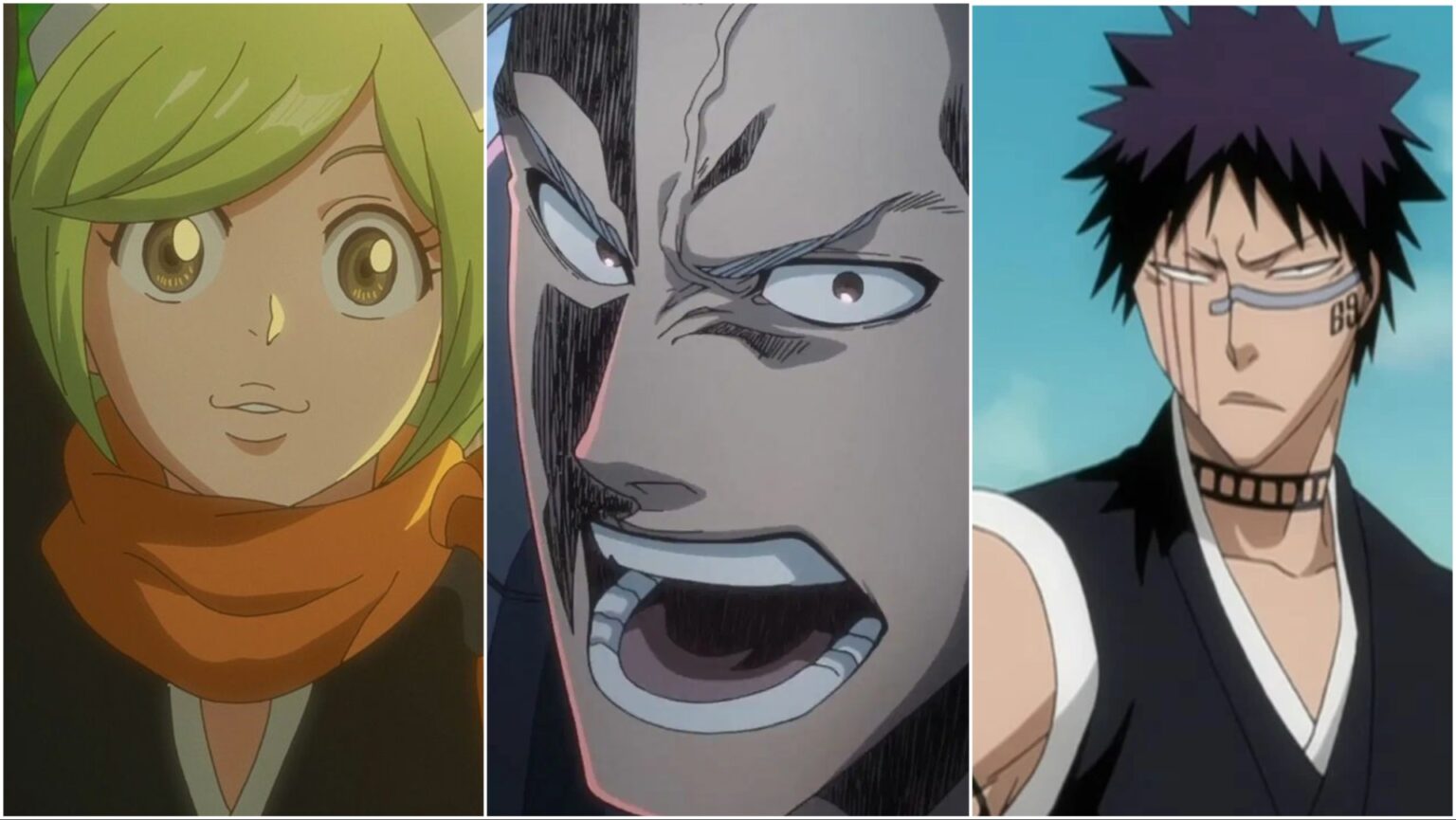The Gotei 13 in Bleach: A Complete Guide - Deltia's Gaming