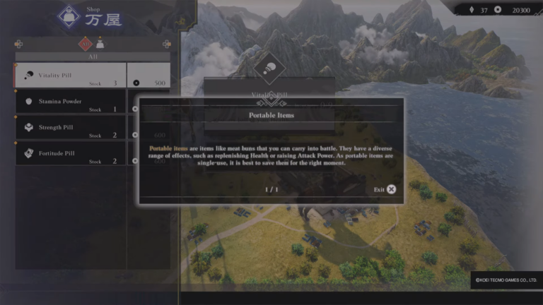 What are portable items in Dynasty Warriors Origins?