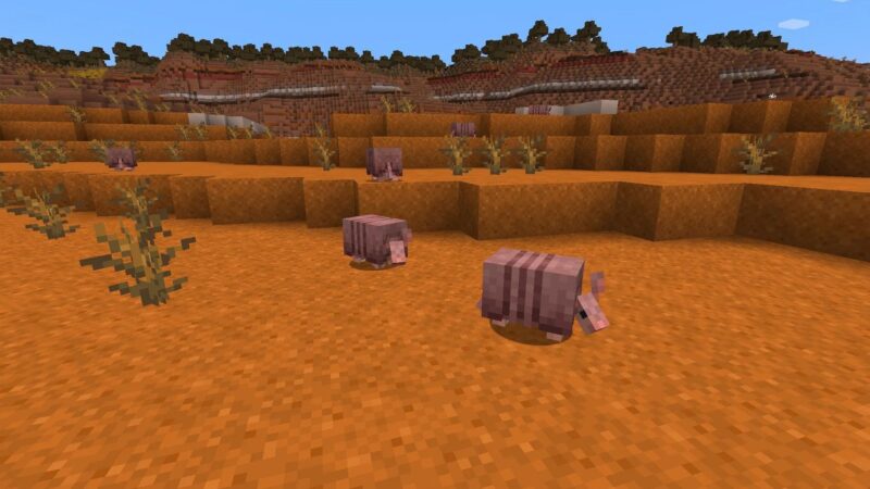 Armadillos (Source: Mojang Studios)