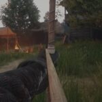 A Bow in Kingdom Come Deliverance 2