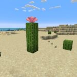 Minecraft Cactus Flower