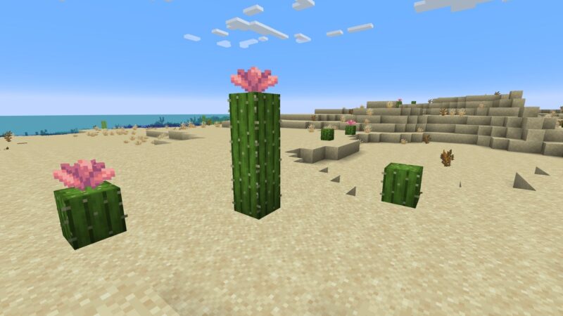 Minecraft Cactus Flower