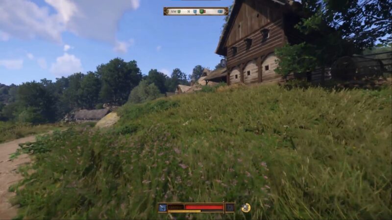 Poppy is very difficult to find in Kingdom Come Deliverance 2 (Image via Deep Silver)