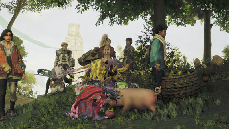 Petting Poogie in Suja in Monster Hunter Wilds [Source: Deltias Gaming/Capcom]