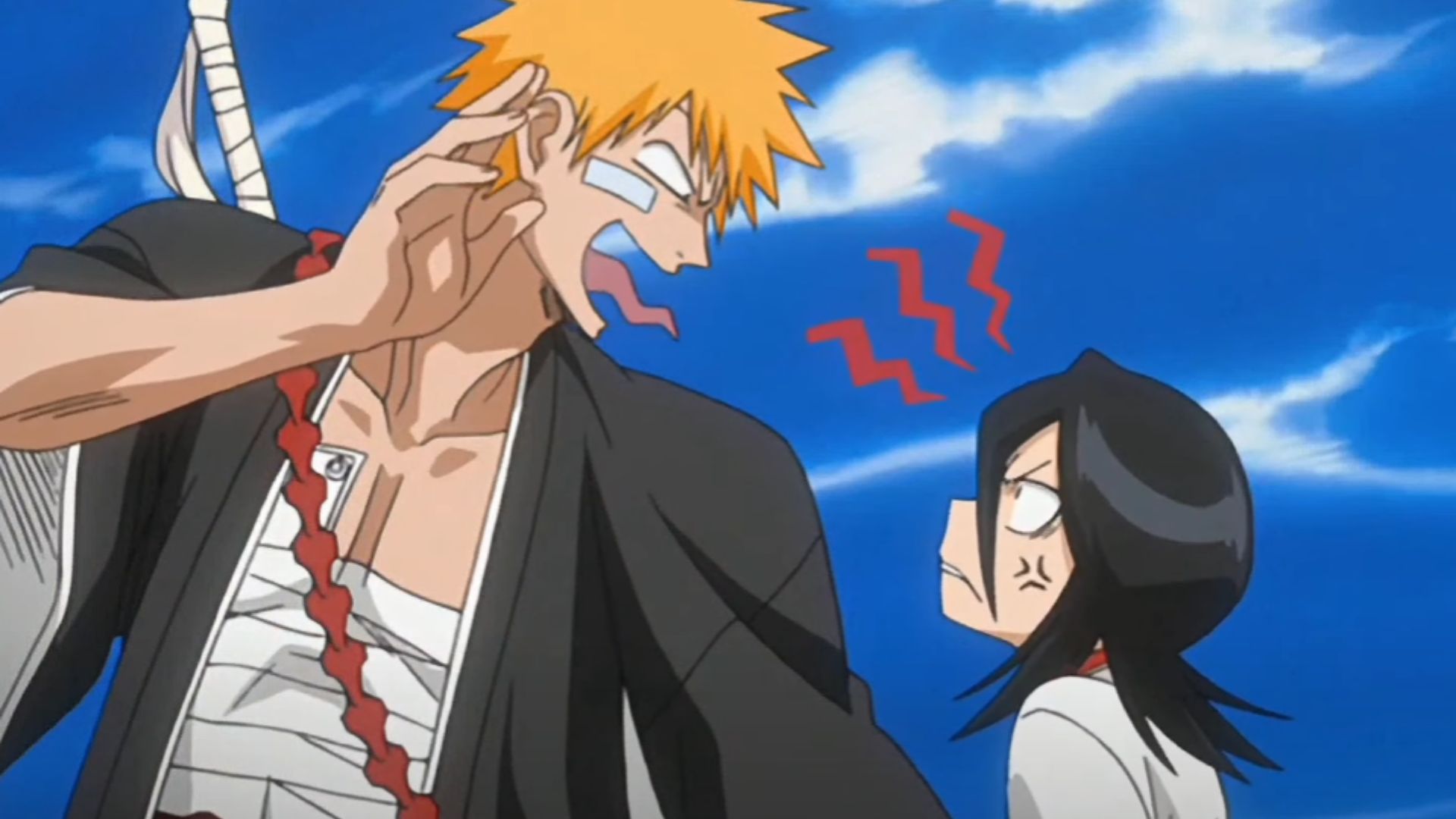 Rukia and Ichigo as seen in Bleach