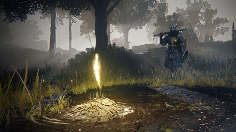 Site of Grace in Elden Ring Nightreign