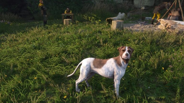 Kingdom Come Deliverance 2: How To Find Food for Mutt (Source: Deep Silver)