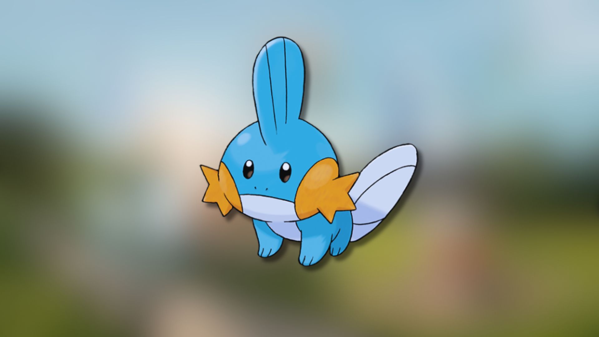 Mudkip (Image via TPC)