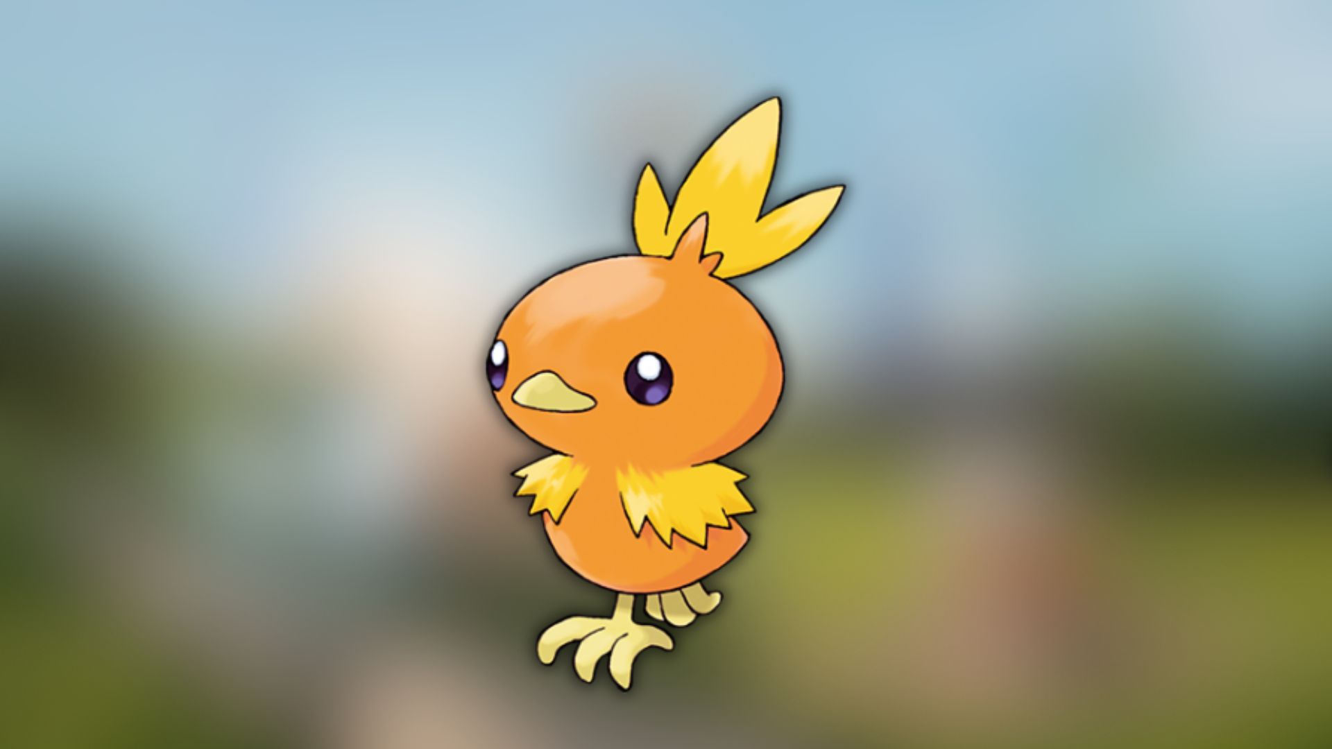 Torchic (Image via TPC)