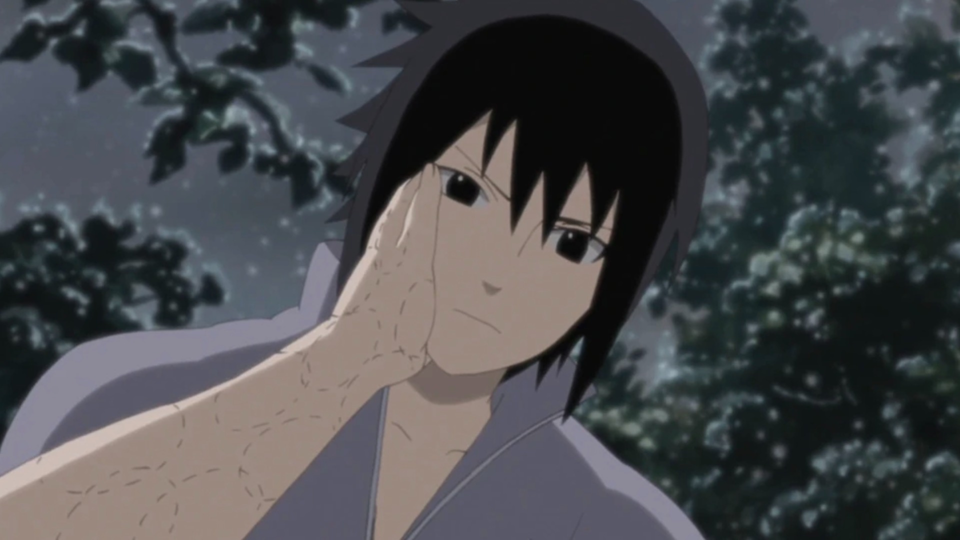 Sasuke (Source: Pierrot)