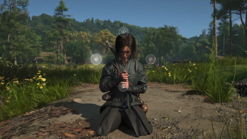 Meditate to make the Pond Yamabushi appear (Image via Ubisoft)