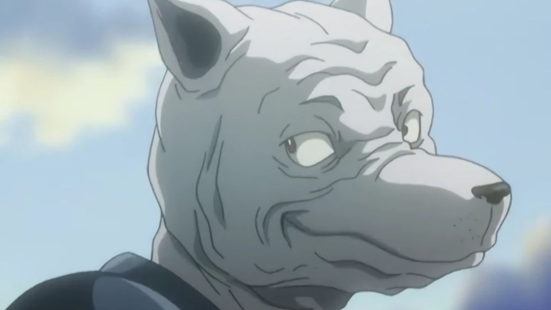 Welfin as seen in the anime (Image via Studio Madhouse)