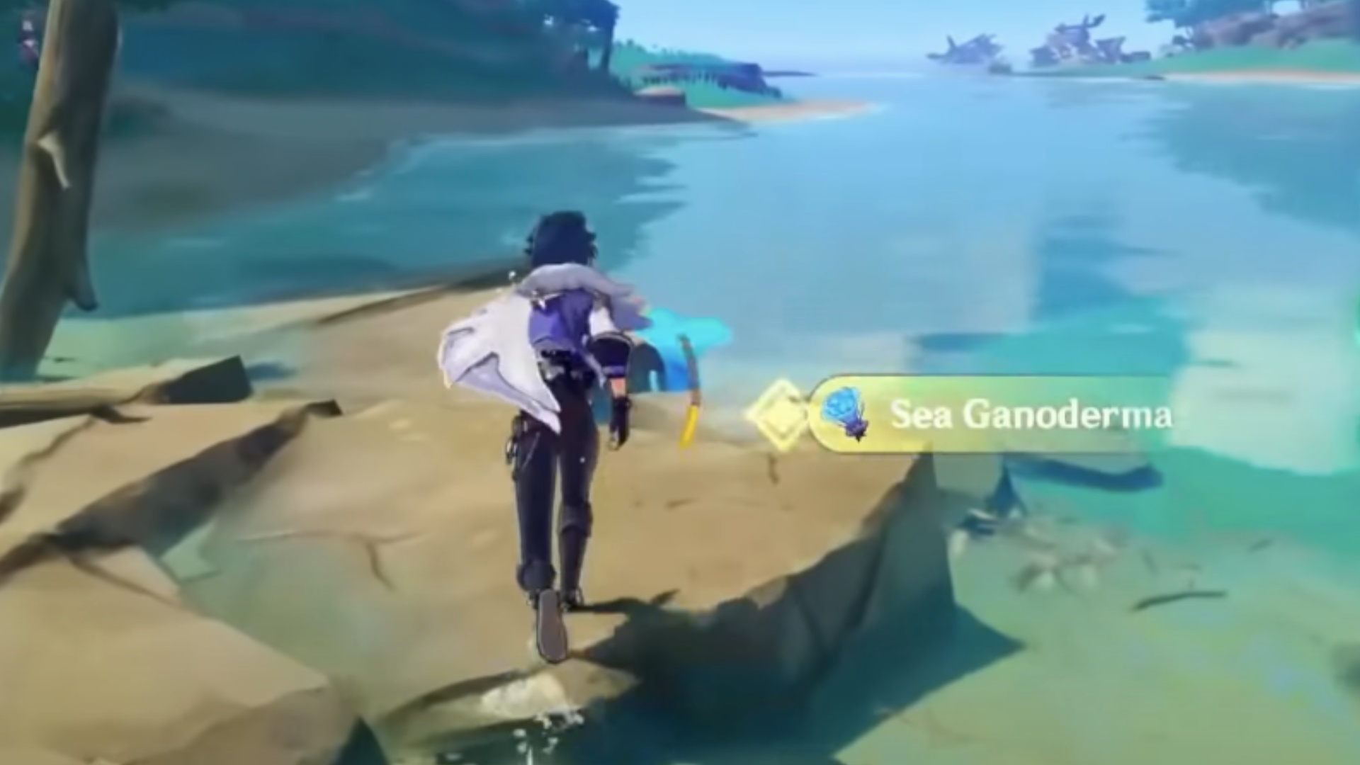 Sea Ganoderma Locations in Genshin Impact