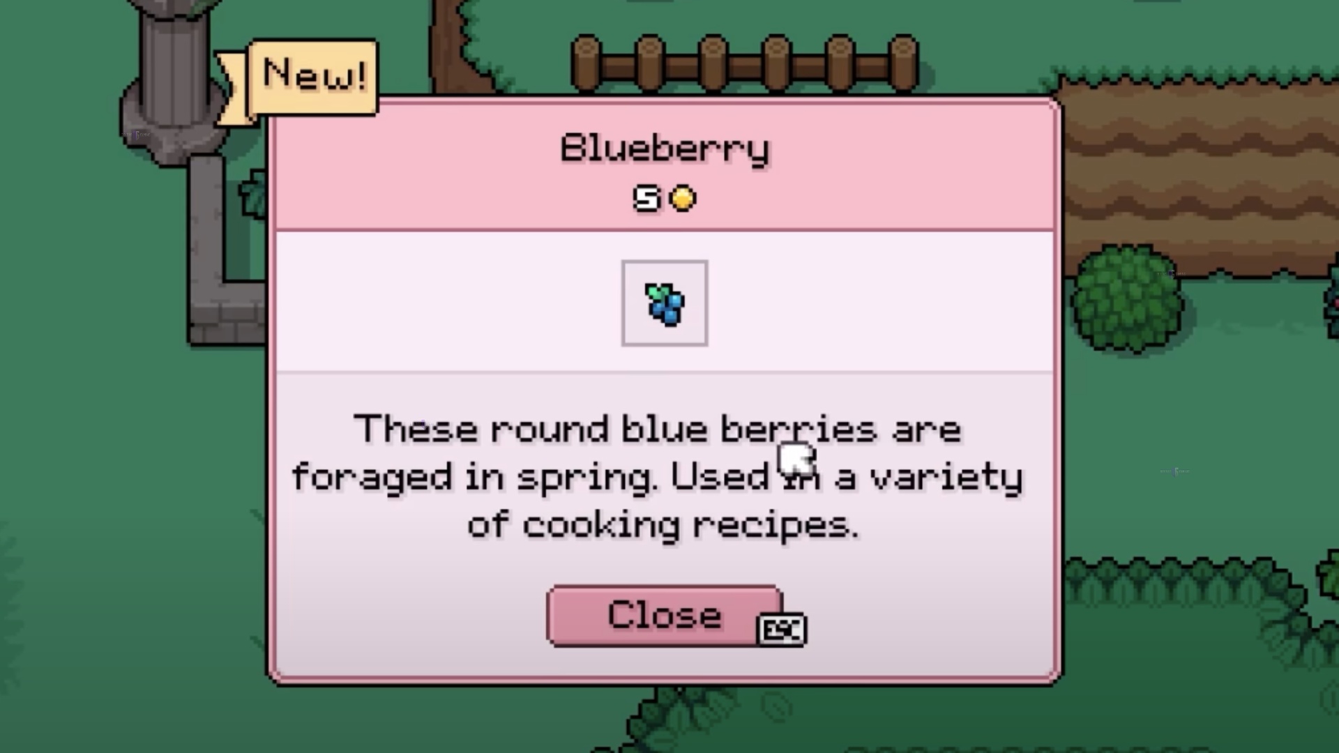 Blueberries in Fields of Mistria