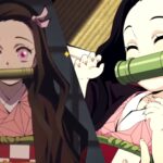 Nezuko From Demon Slayer Was More Crucial Than Fans Give Credit