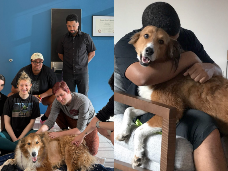 Nmplol Reveals Putting Down Pet Dog Kevin Following Tumors