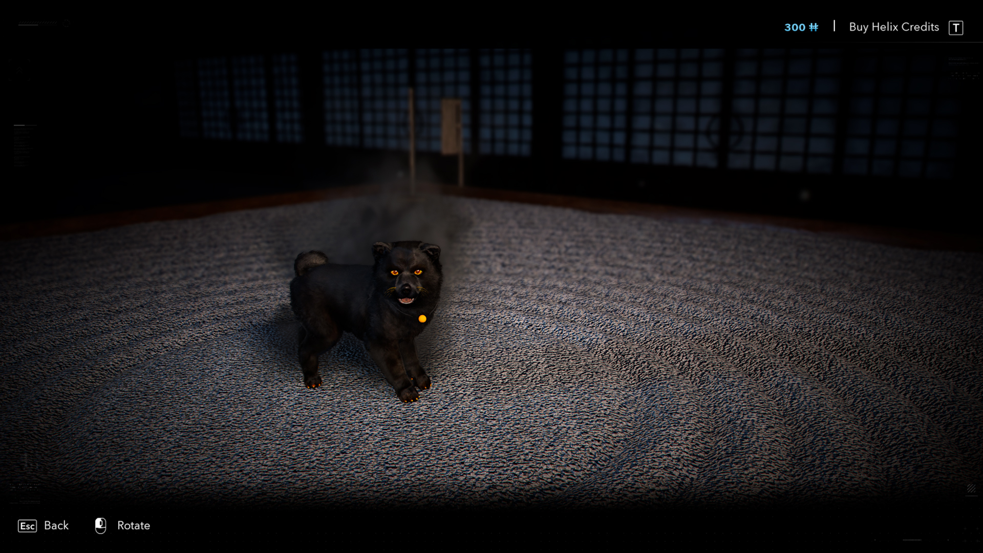 Welcome this adorable dog into your hideout. (source: Ubisoft)