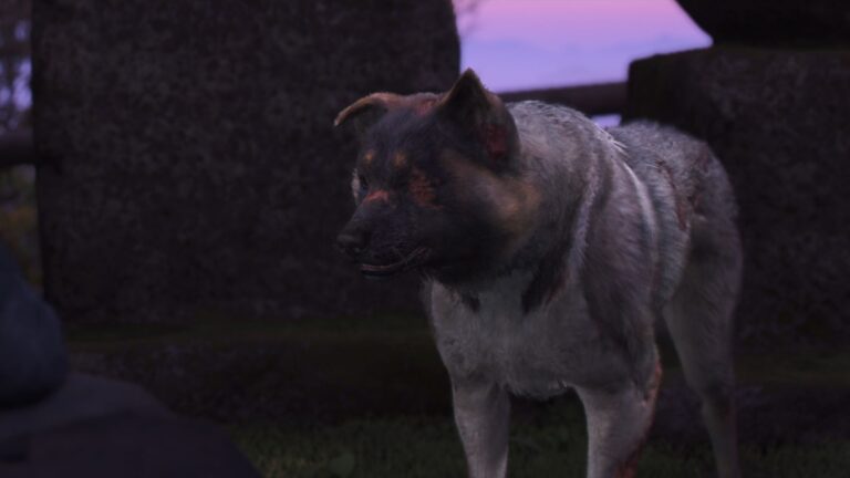 How to Unlock Assassin's Creed Shadows Pre-Order Quest Thrown to the Dogs