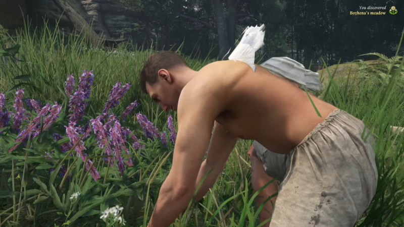 Where To Find Sage in Kingdom Come: Deliverance 2