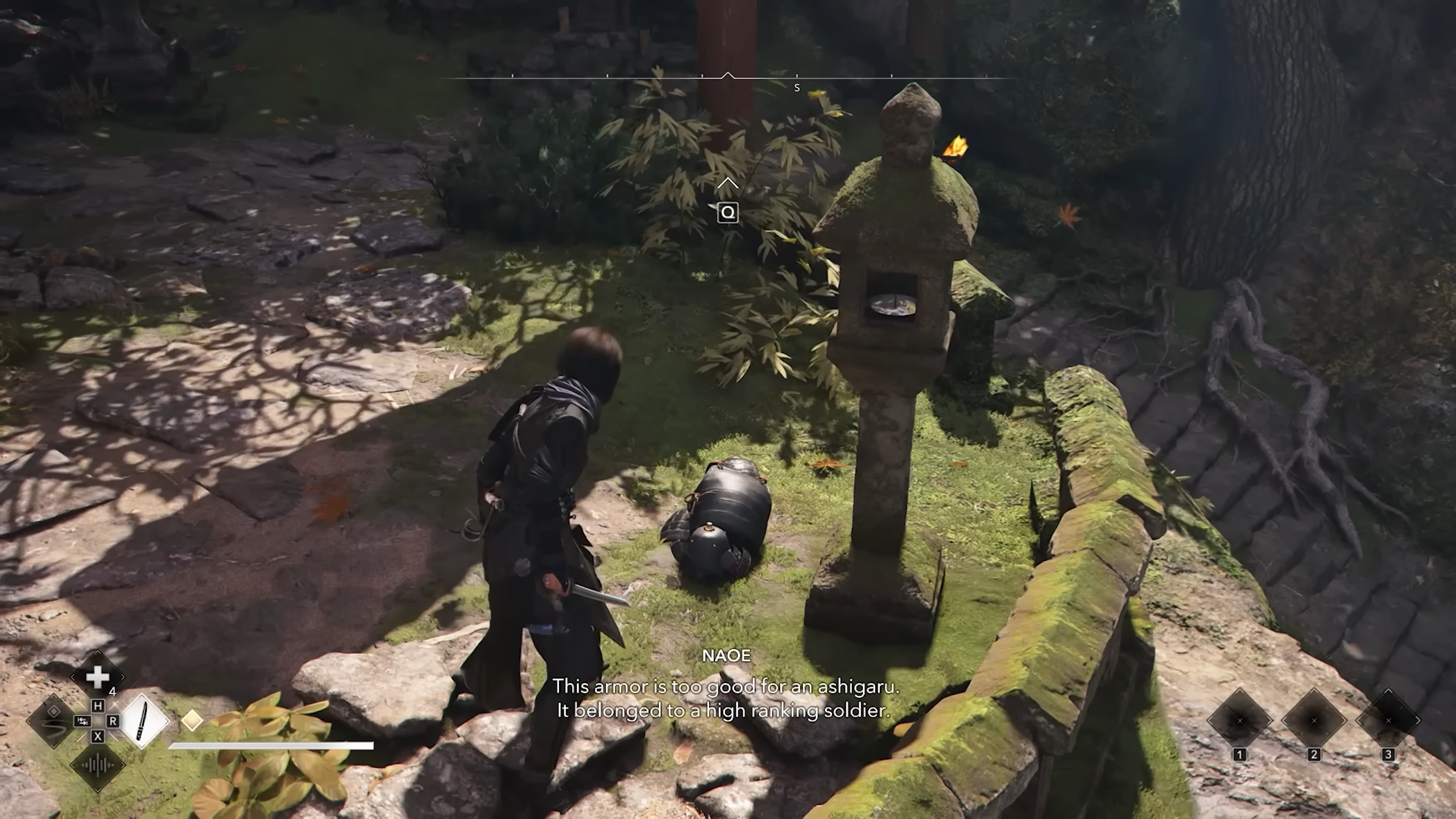 Investigate the area