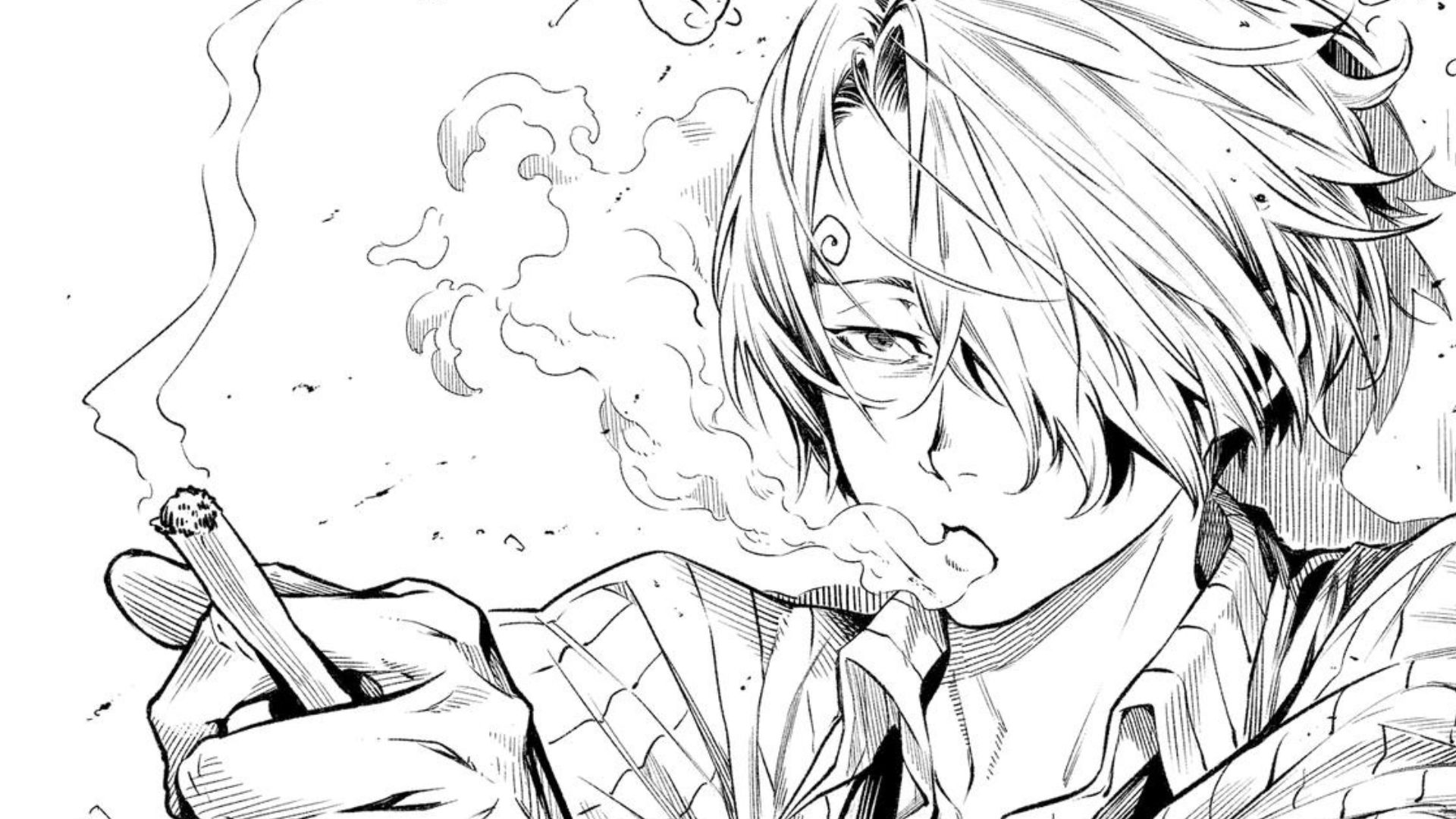 What Is One Piece: Shokugeki no Sanji?