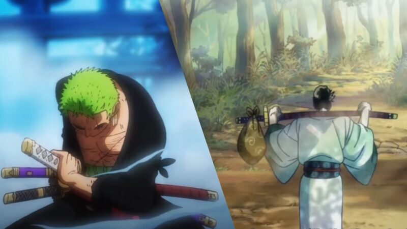 Roronoa Zoro and Shimotsuki Ryuma