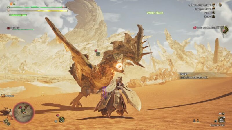 Monster Hunter Wilds: How To Beat Rathian (Weaknesses and Rewards)