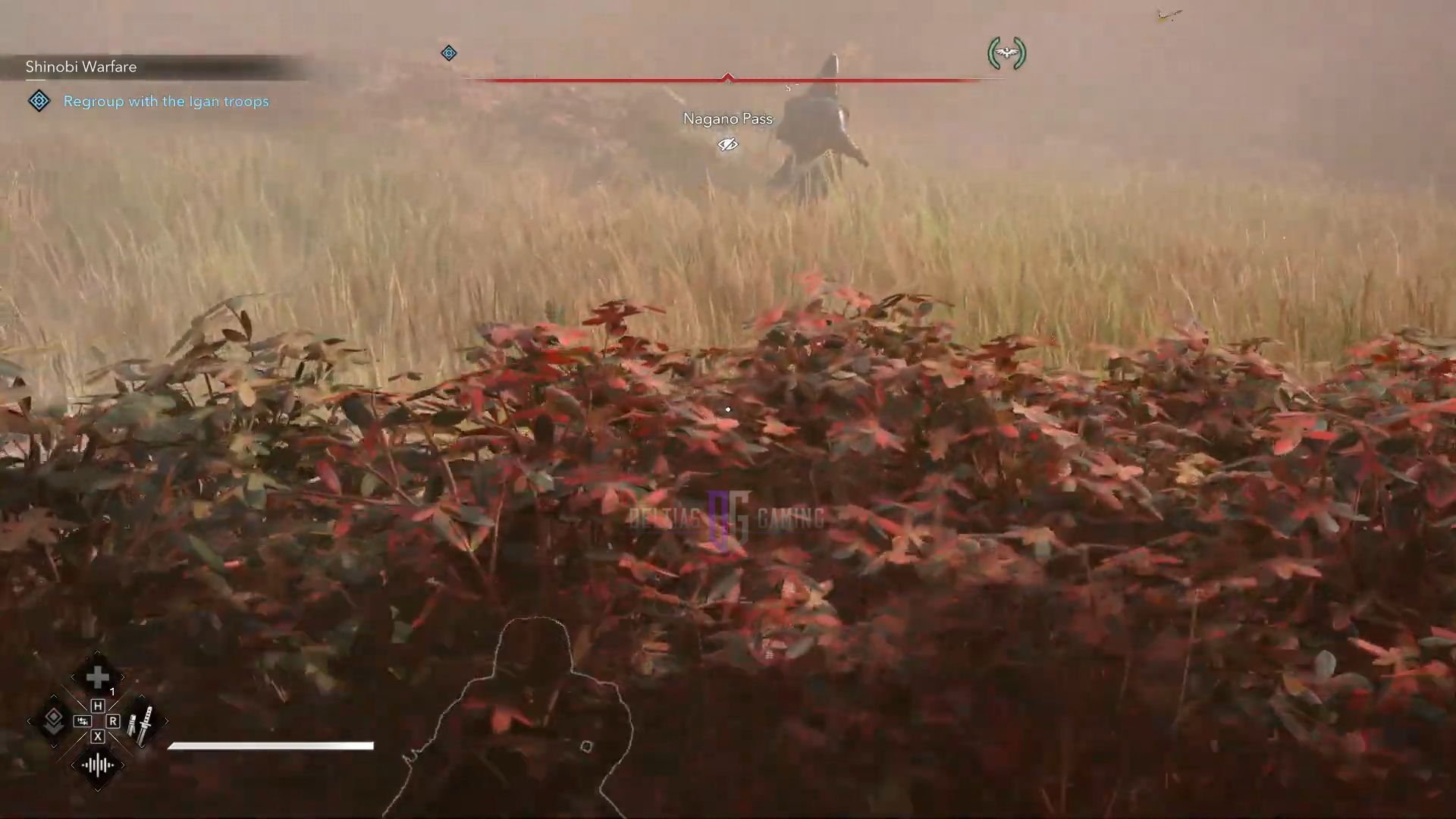 You will spot red leaves in Fall