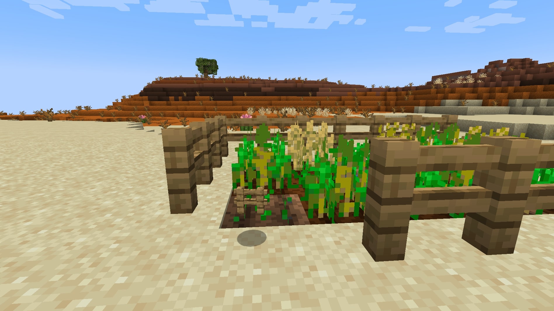 Fence farms to protect them (Image via Mojang)