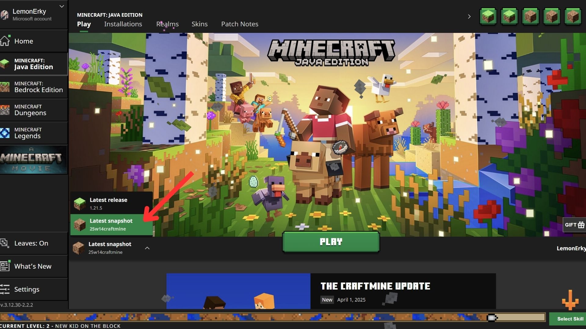 How to Play Craftmine for Minecraft Java Edition
