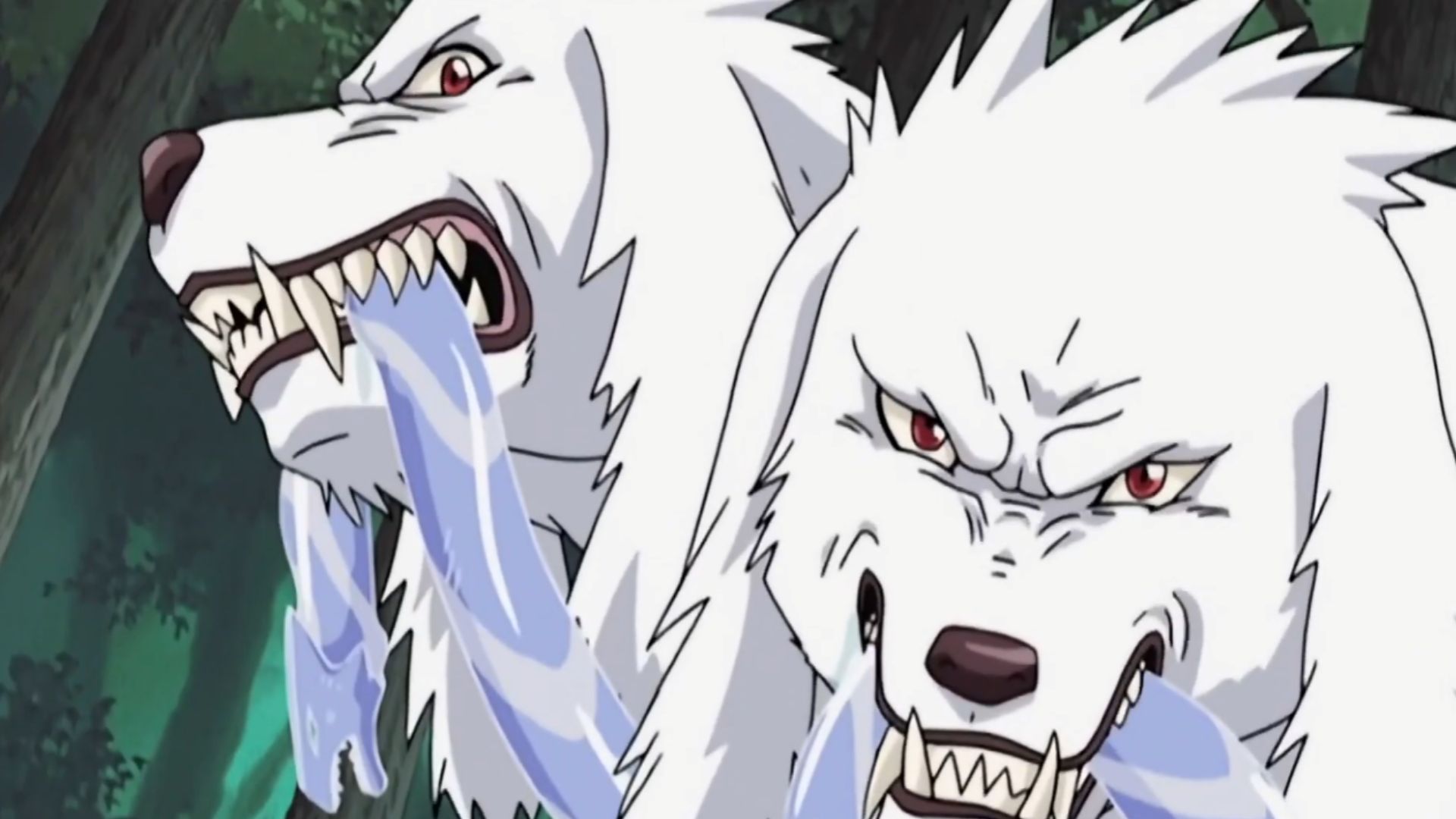 Man-Beast Combination Transformation: Double-Headed Wolf
