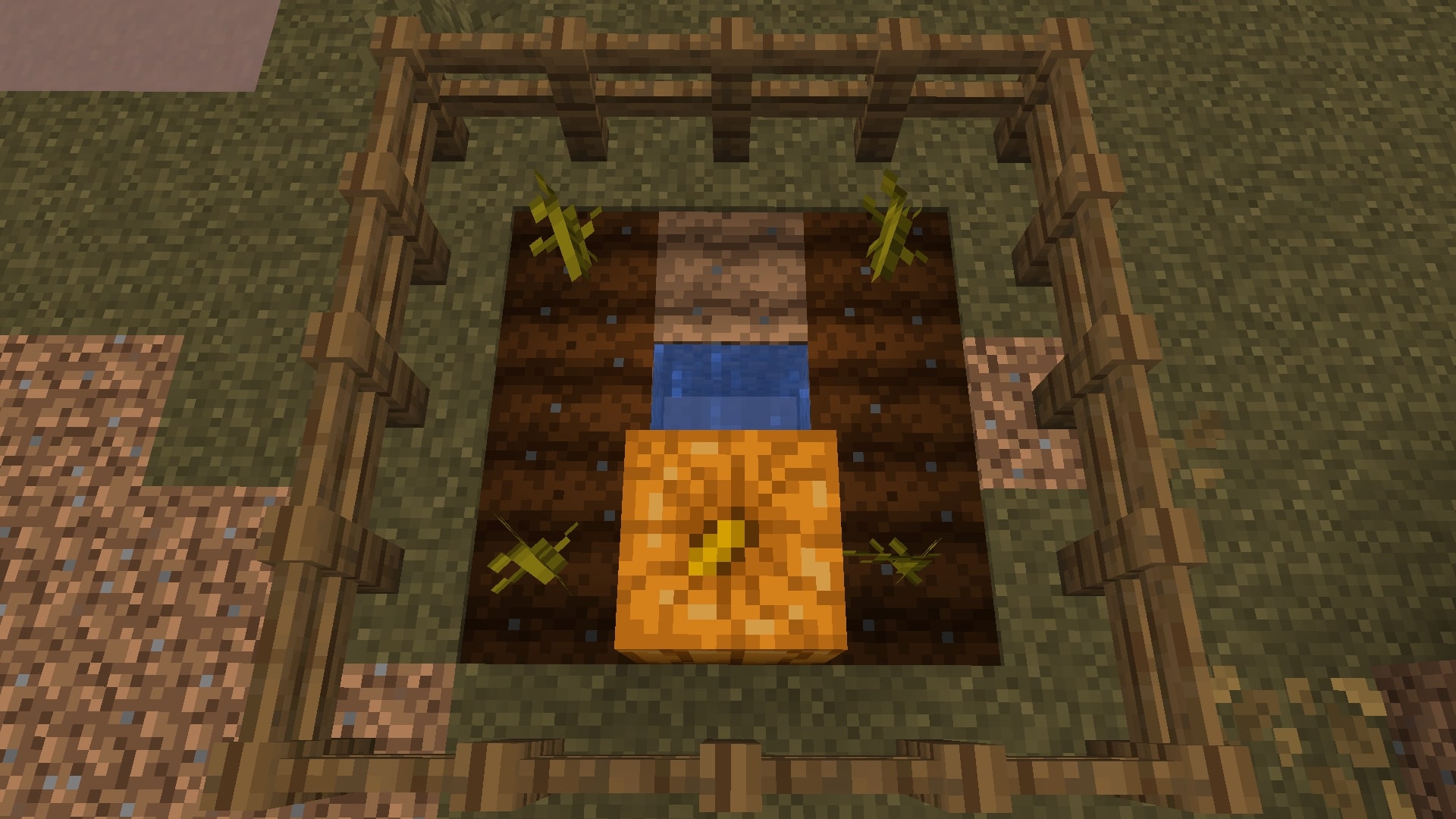 A small pumpkin farm (Image via Mojang)