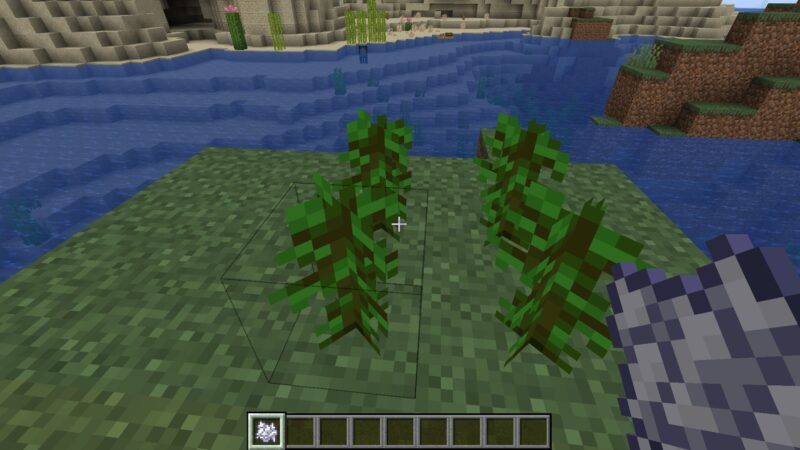 Plant four saplings in a 2x2 square... (Image via Mojang)