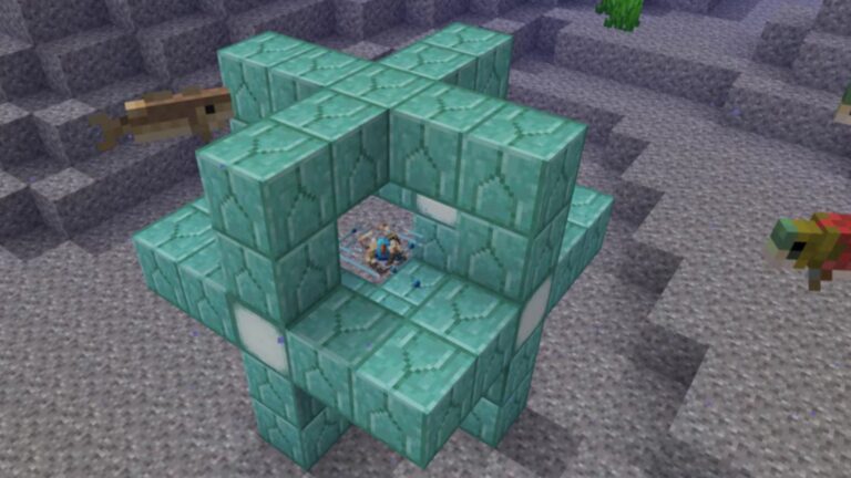 Heart of the Sea in Minecraft