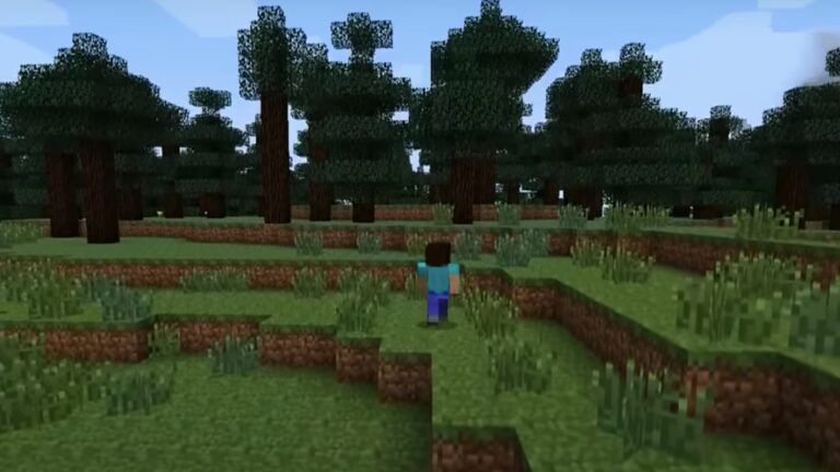 Change view in Minecraft