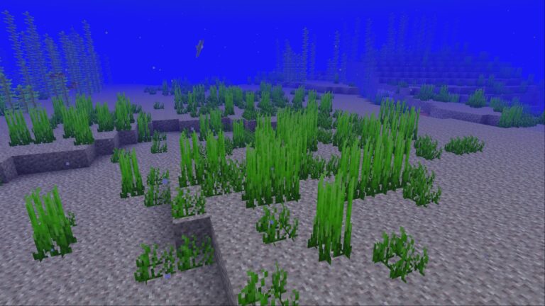 Seagrass in Minecraft (Image via Mojang Studios)