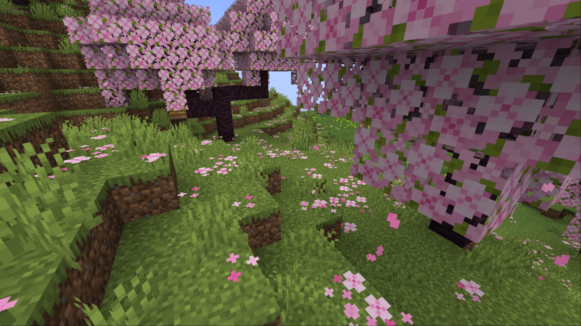 Cherry Grove is the best biome to get Pink Dye (Image via Mojang Studios)