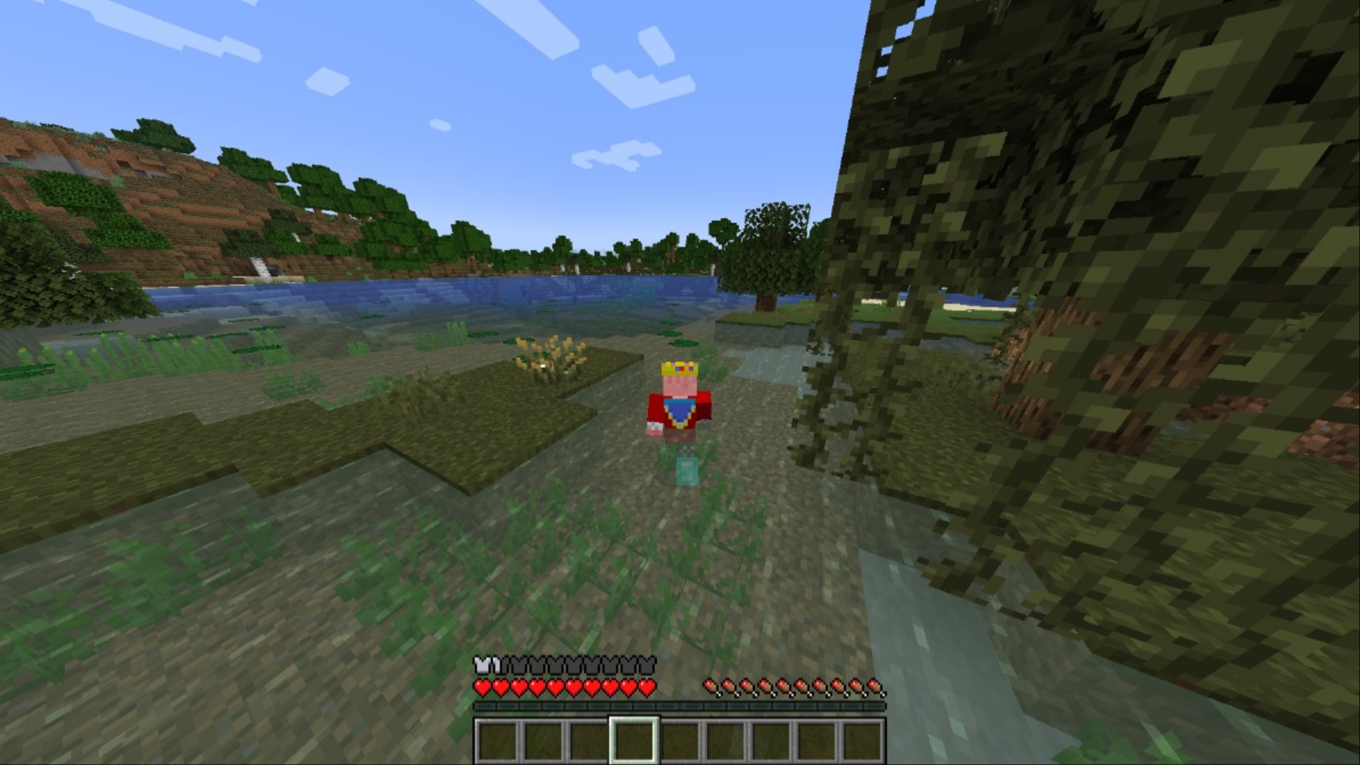 Move faster in water (Image via Mojang Studios)