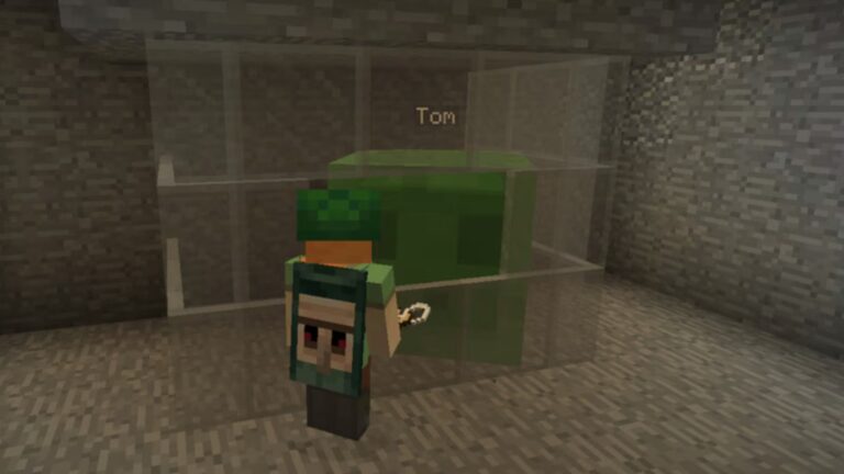 Name Tag in Minecraft