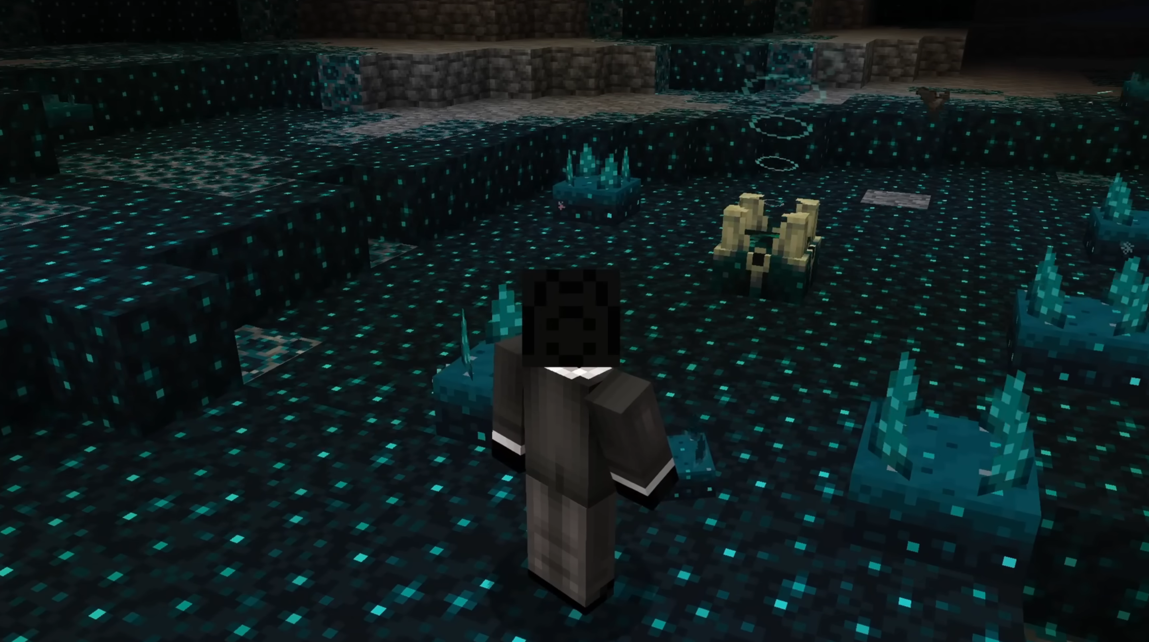 Skulk block in the Deep Dark