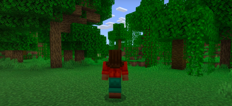 Minecraft Top View Tutorial How To Change the Camera View in Minecraft - Deltia's Gaming