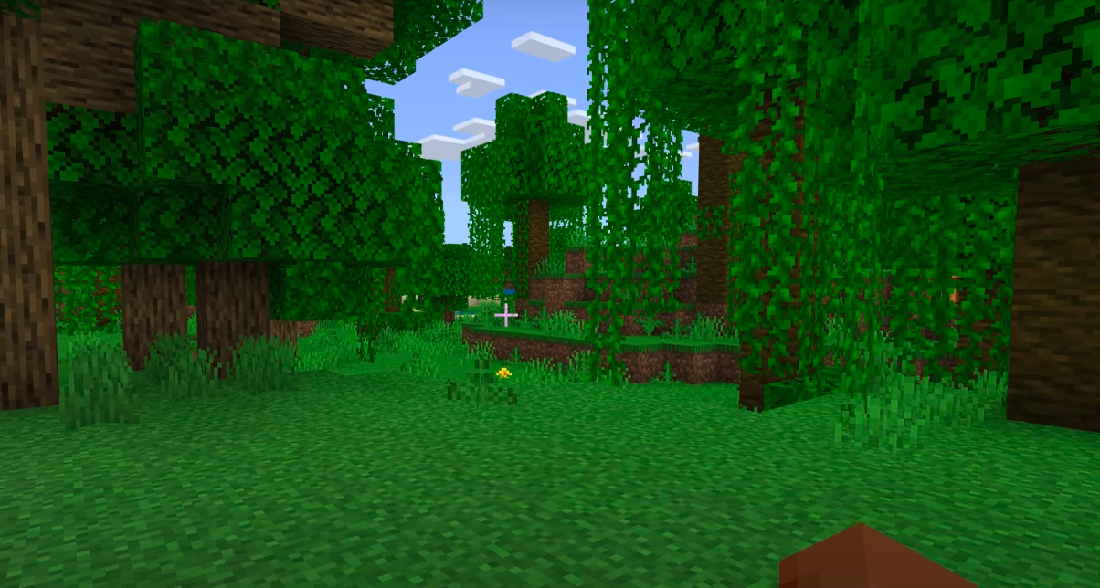 The First-Person view shows what your character sees (Image via Mojang Studios)