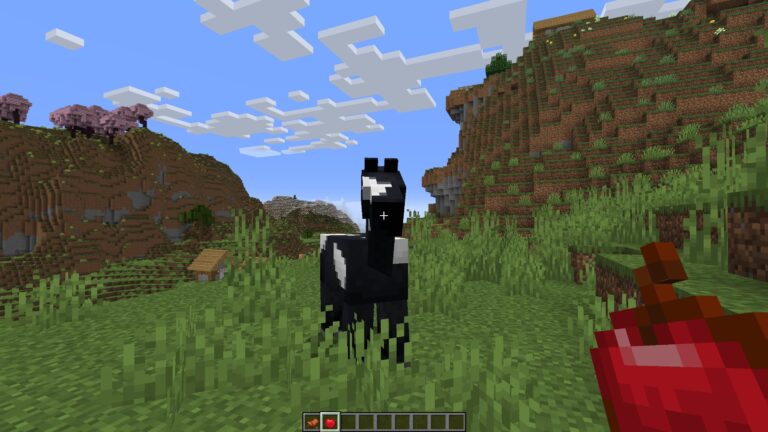 Taming a Horse
