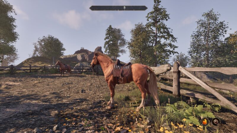 Horse