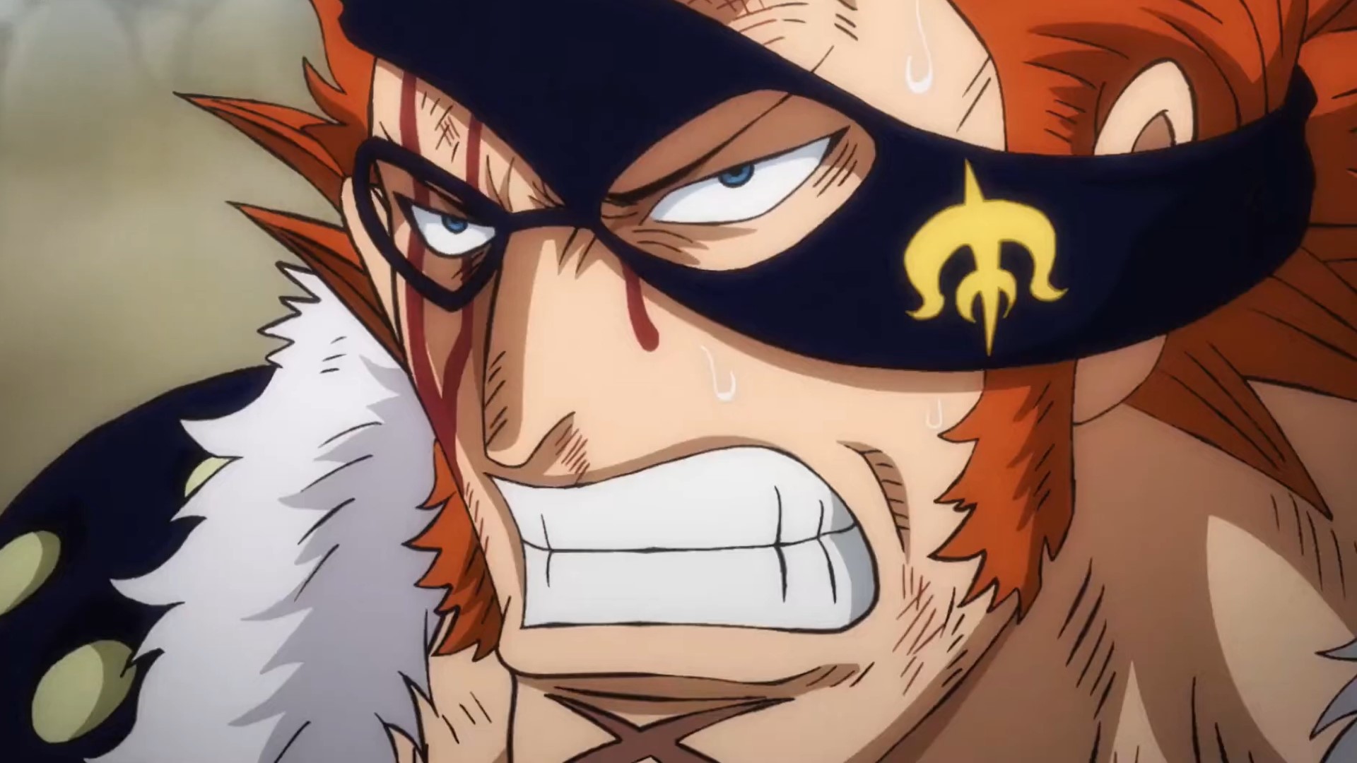 X Drake from One Piece
